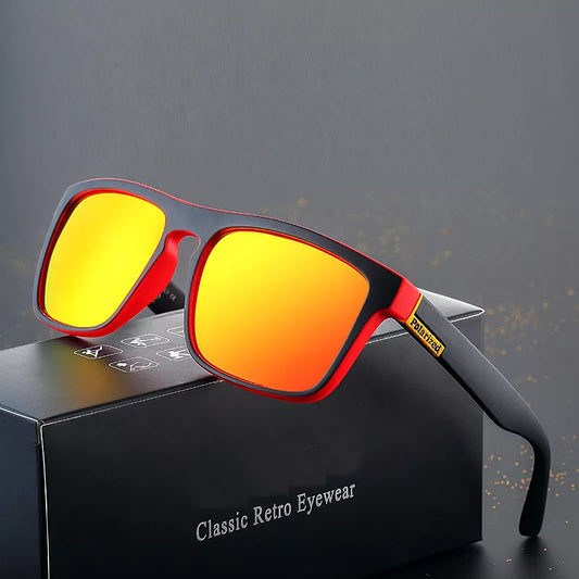 Lunettes de Soleil Wayfarer